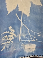 IMAGE 2024-11-24 18_41_51.jpg